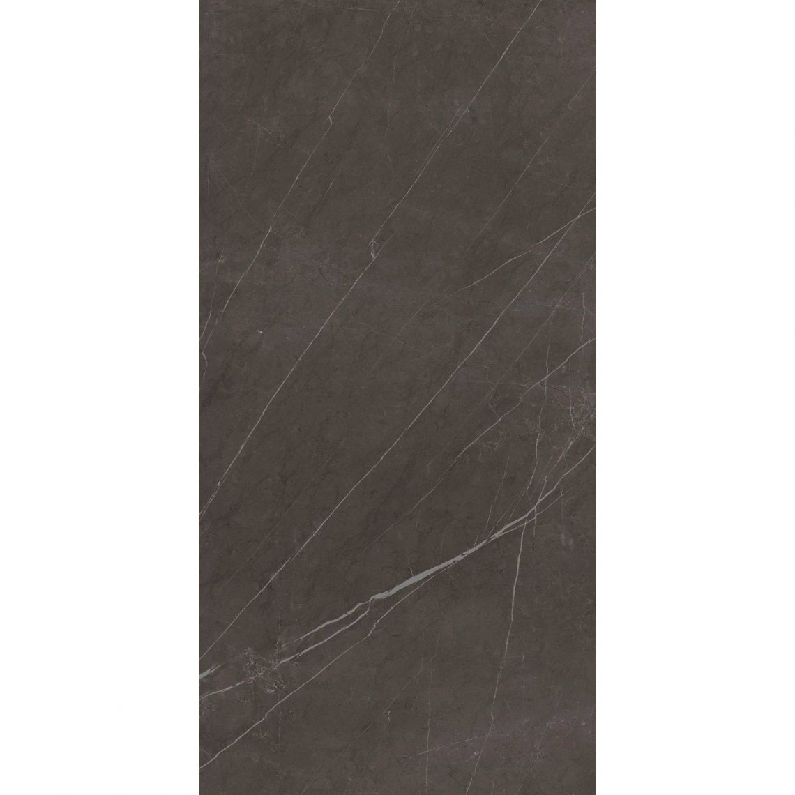 Керамограніт Fiandre Marble Lab Pietra Grey, 120x60, semilucidato, 8мм (AS194X864) - Фото 1