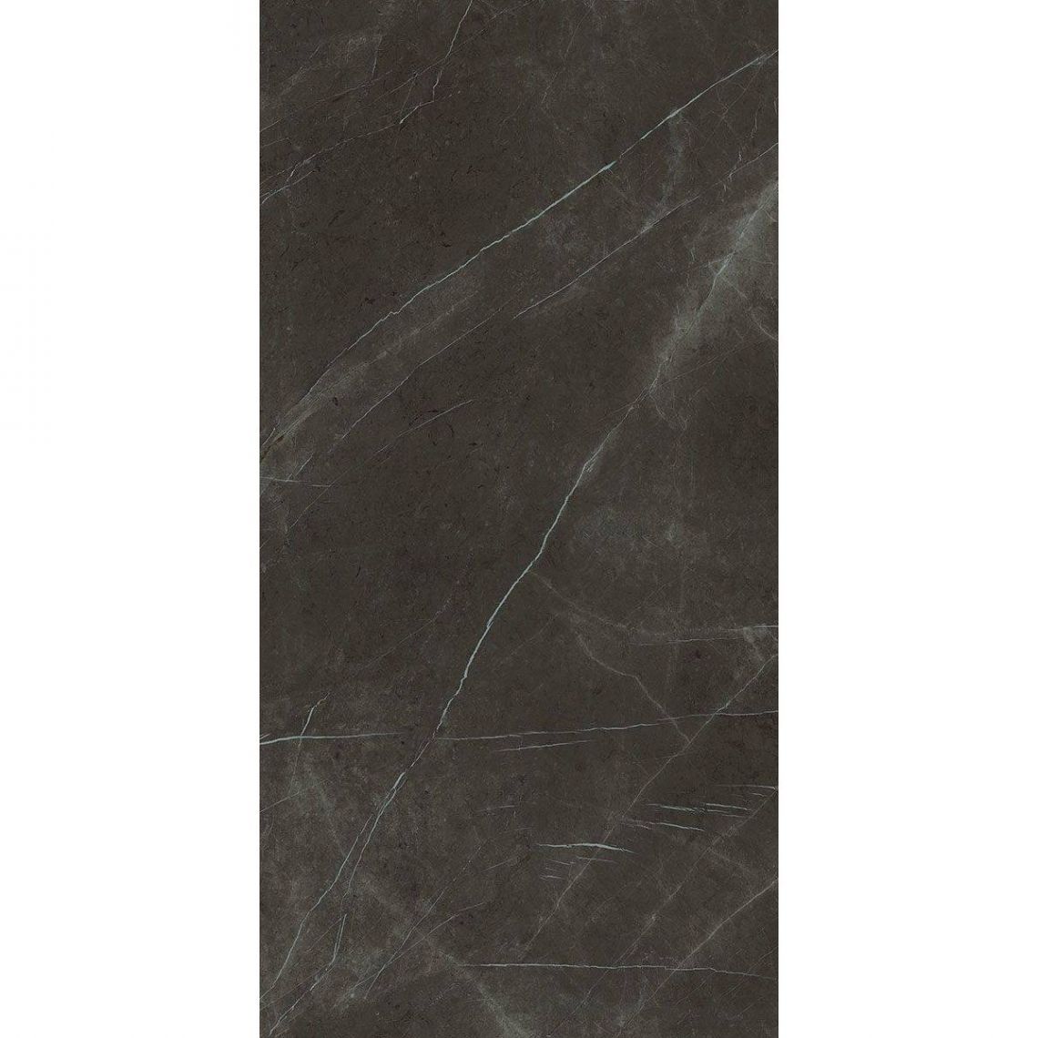 Плитка Fiandre Marmi Maximum Pietra Grey 250х100 (MML3261025) - Фото 1
