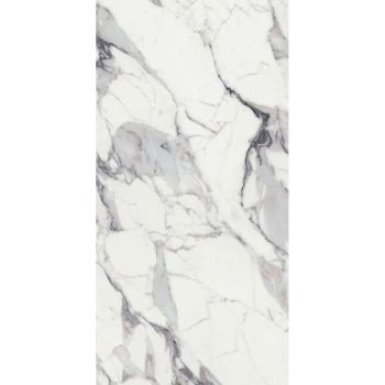 Керамограніт Florim REX, Les Origines De Rex Argent… - Фото №1