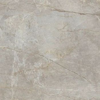 Керамогранит Fiandre Marble Lab, Silver Root 120x120… - Фото №1