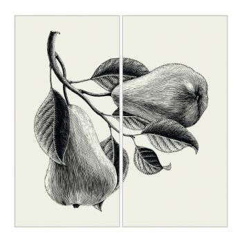 Керамогранит Fiandre Design your slabs Pears Composizione… - Фото №1
