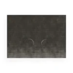 Клавиша смыва Treemme, Satin Stainless Steel (ITRTBS112IS) - Фото 1