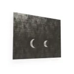 Клавиша смыва Treemme, Satin Stainless Steel (ITRTBS112IS) - Фото 2