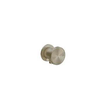 Виведення води Gessi Origini, Bruched Brass PVD (66169727) - Фото №1