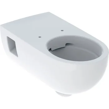 Унитаз подвесной Geberit Selnova Comfort Premium воронковидный,… - Фото №1
