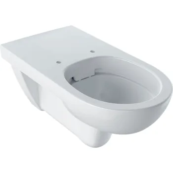 Подвесной унитаз Geberit Selnova Comfort Rimfree воронковидный,… - Фото №1