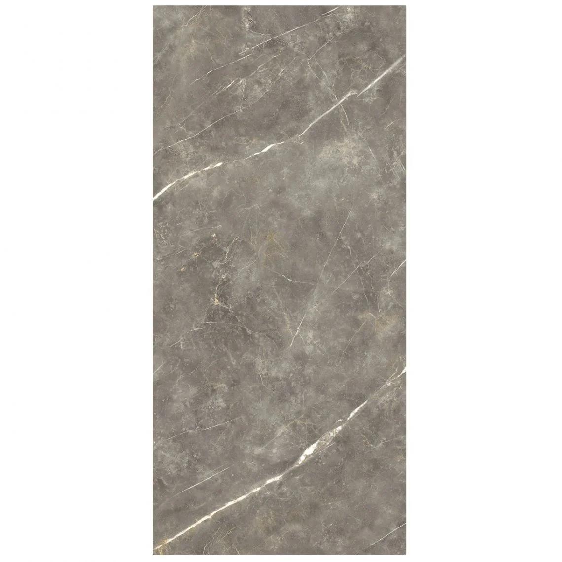 Керамограніт Сoem Wide Gres Imperiale Effect 120х260 R (0ME263R) - Фото 2