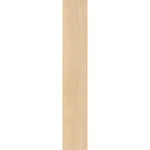 Керамогранит Atlas Concorde, Log Anthology Light Ash 20x120 см Matt Sensitech 9 мм (HGA9) - Фото 1