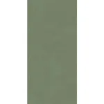 Керамогранит Atlas Concorde, Vivia Crelis Deep Green 50x120 см Lucido 8.5 мм (HHIZ) - Фото 1