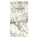 Керамогранит Fiandre Marmi Maximum Invisible Lucidato 270х120 (MML8162712) - Фото 1