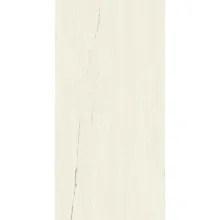 Керамогранит Atlas Concorde Marvel Bianco Dolomite… - Фото №1