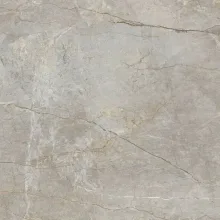 Керамограніт Fiandre Marble Lab, Silver Root 120x120… - Фото №1