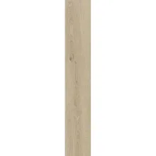 Керамогранит ABK Poetry Wood, Gold Nat 20х120 Rett… - Фото №1