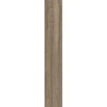 Керамогранит ABK Poetry Wood, Oak R11 20х120 Rett… - Фото №1
