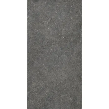 Керамограніт Casalgrande Padana, Stile Black Anticata… - Фото №1