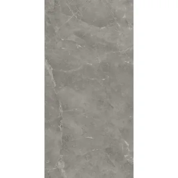 Керамограніт Atlas Concorde Marvel Grey Fleury 60x120 Matt 9мм (A21F)