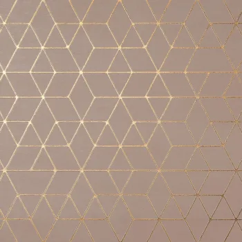 Плитка настенная Atlas Concorde Mek Rose Hexagon 50x120… - Фото №1