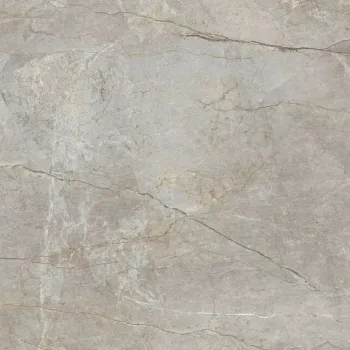 Керамогранит Fiandre Marble Lab, Silver Root 120x120… - Фото №1