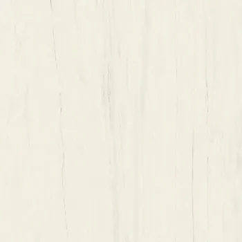 Керамогранит Atlas Concorde Marvel Stone Bianco Dolomite… - Фото №1