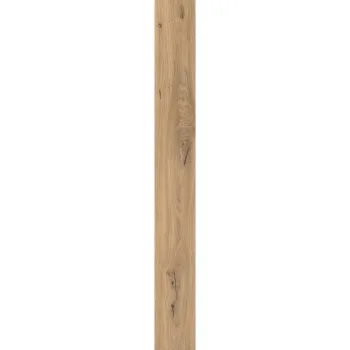 Керамогранит Atlas Concorde Log Icon Oak Forest 20x180… - Фото №1