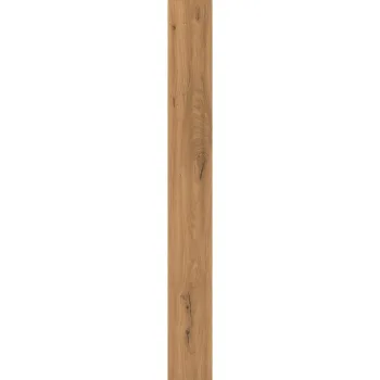 Керамогранит Atlas Concorde Log Amber Oak Forest 20x180… - Фото №1