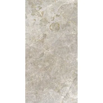 Керамогранит Mayor Eterna Argent C3 OUT 60x120 (BAETARC360120) - Фото №1