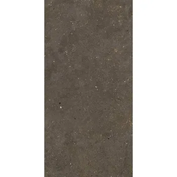 Плитка Fiandre Solida Brown 100х100 (GAB600C100006) - Фото №1