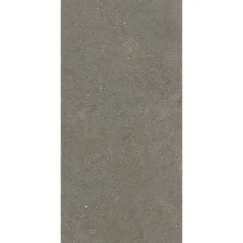 Плитка Fiandre Solida Grey 120х60 (GAB700N126009) - Фото №1