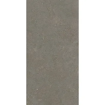 Керамогранит Fiandre Solida Grey 60х120 (GAB700S126009) - Фото №1