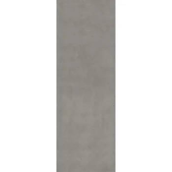 Плитка Fiandre Fjord Maximum Grey 300х100 (GFAA800N020A2) - Фото №1
