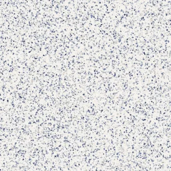 Керамогранит Marazzi Frammento, Macro Azzurro 120х120… - Фото №1