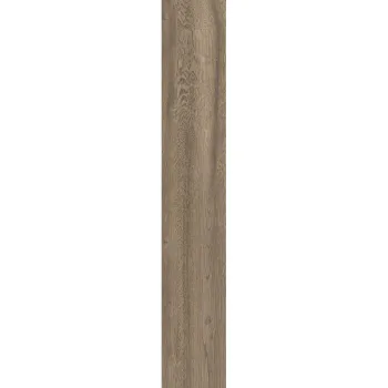 Керамогранит ABK Poetry Wood, Oak R11 20х120 Rett… - Фото №1