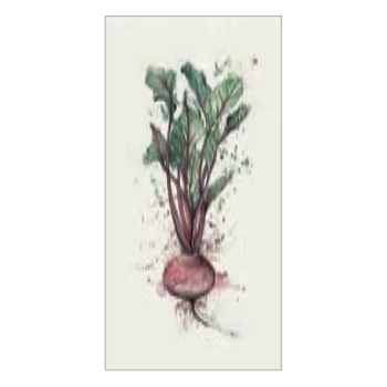Керамогранит Fiandre Design your slabs Turnip Composizione… - Фото №1