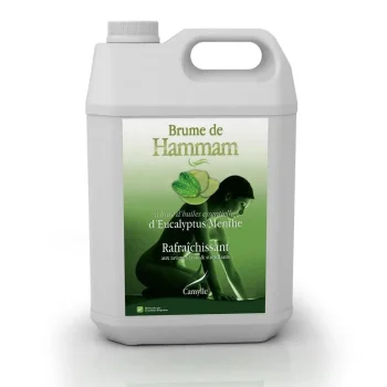 Ароматизатор для хаммама Camylle Brume de Hammam Эвкалипт/Мята,… - Фото №1