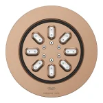 Боковой душ Grohe Rainshower Aqua круглый, на 2 струи, матовый теплый закат (26801DL0) - Фото 2