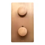 Термостат для душа Bossini TEO внешняя часть, Antique brass (Z00002022) - Фото 1