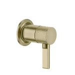 Змішувач прихованого монтажу Gessi Inciso, 1 вихід, Bruched Brass PVD (58109727) - Фото 1