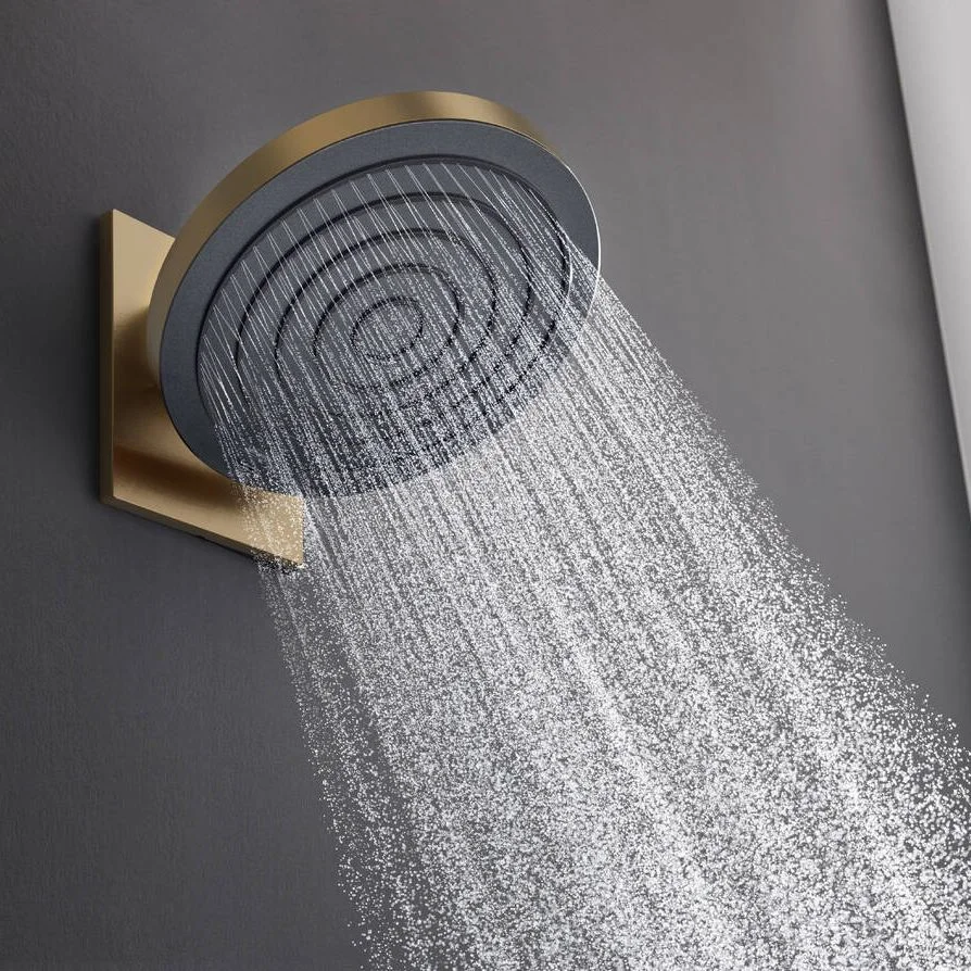 Верхній душ Hansgrohe Pulsify 260 1jet, бронза матова (24140140) - Фото 2