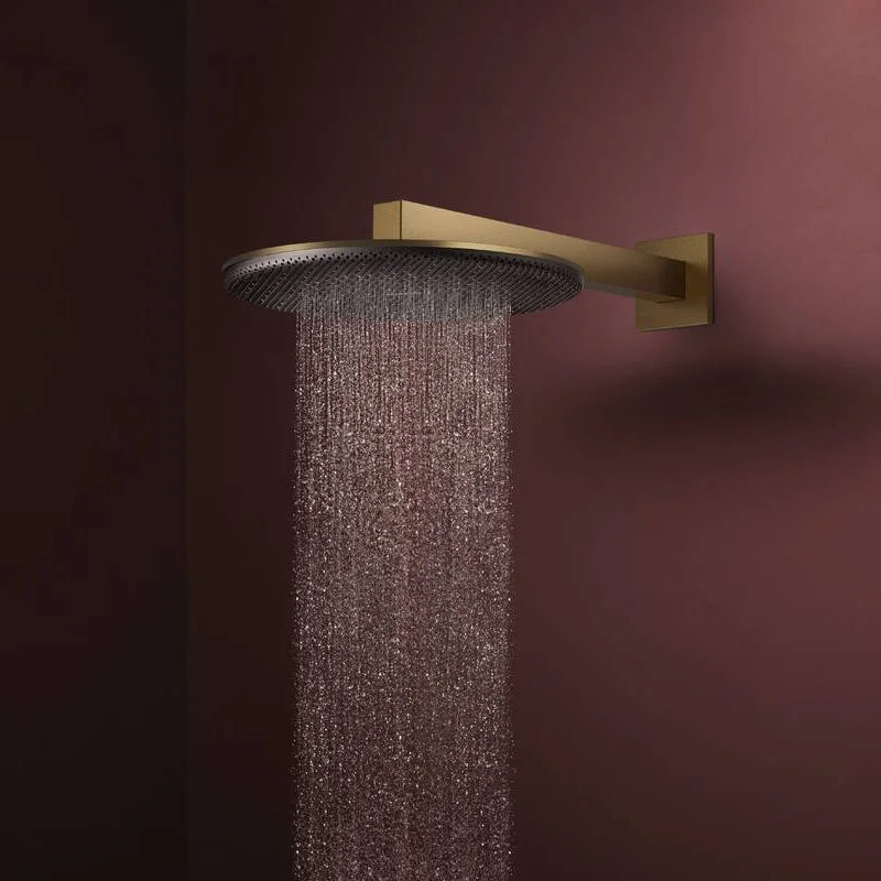 Верхний душ Hansgrohe Raindance Alive S 300 1jet, Brushed Bronze (24520140) - Фото 2