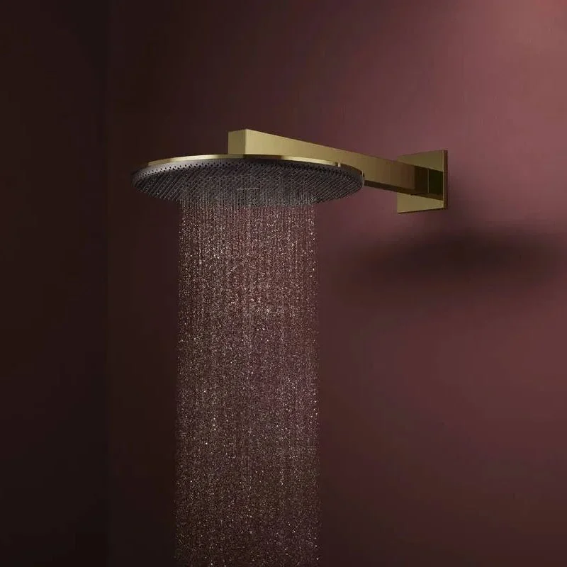 Верхний душ Hansgrohe Raindance Alive S 300 1jet, Polished Gold Optic (24520990) - Фото 2