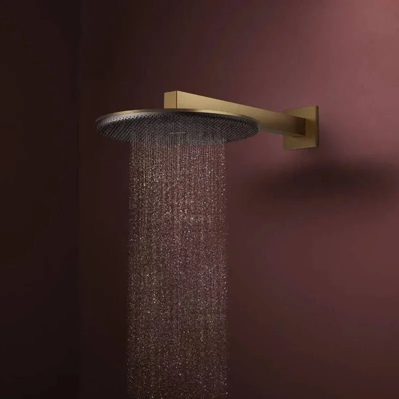 Верхний душ Hansgrohe Raindance Alive S 300 1jet EcoSmart, Brushed Bronze (24521140) - Фото 2