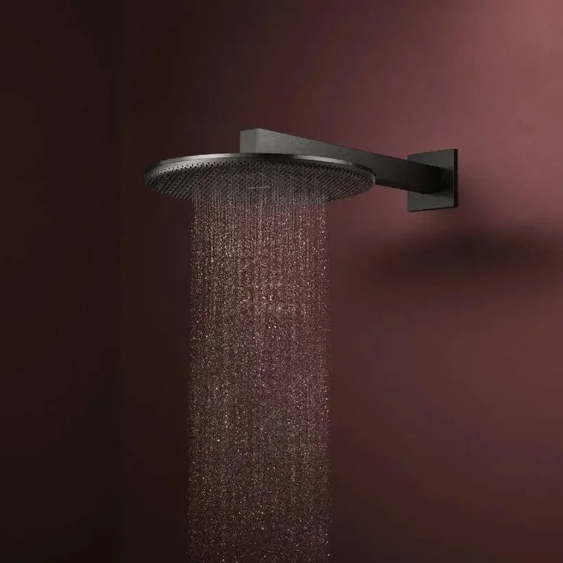 Верхний душ Hansgrohe Raindance Alive S 300 1jet EcoSmart, Matt Black (24521670) - Фото 2