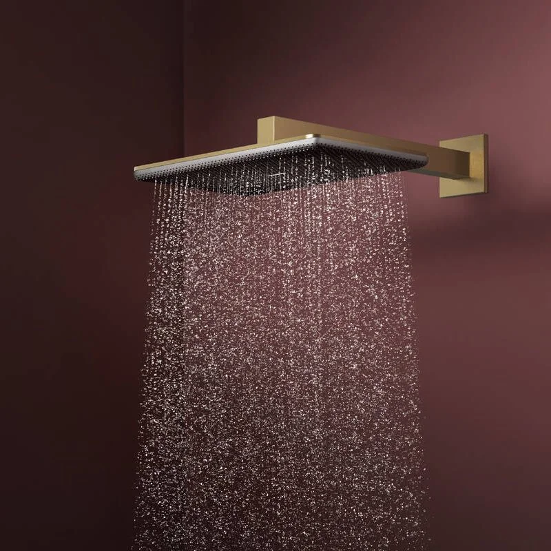 Верхний душ Hansgrohe Raindance Alive Q 340/210 1jet, Brushed Bronze (24530140) - Фото 2