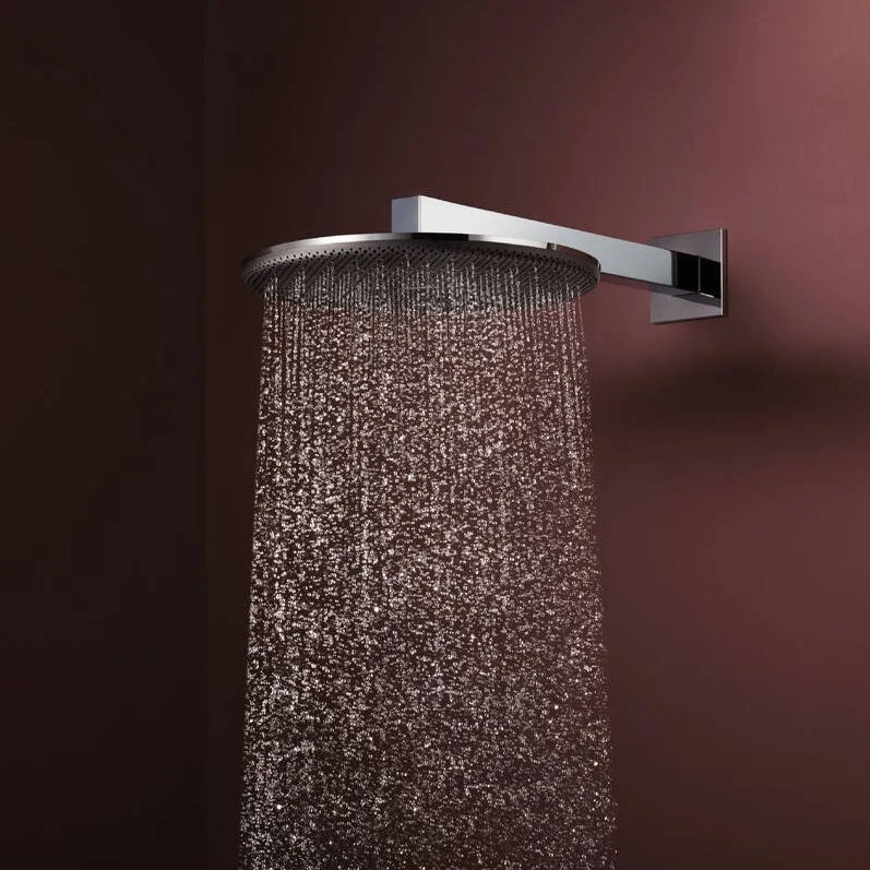 Верхний душ Hansgrohe Raindance Alive S 300 2jet с держателем, Chrome (24540000) - Фото 2