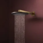 Верхний душ Hansgrohe Raindance Alive S 300 1jet, Brushed Bronze (24520140) - Фото 2