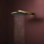 Верхний душ Hansgrohe Raindance Alive S 300 1jet, Polished Gold Optic (24520990) - Фото 2