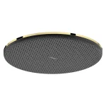 Верхний душ Hansgrohe Raindance Alive S 300 1jet, Polished Gold Optic (24520990) - Фото 1