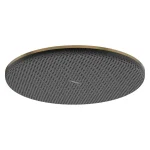 Верхний душ Hansgrohe Raindance Alive S 300 1jet EcoSmart, Brushed Bronze (24521140) - Фото 1