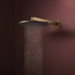 Верхний душ Hansgrohe Raindance Alive S 300 1jet EcoSmart, Brushed Bronze (24521140) - Фото 2