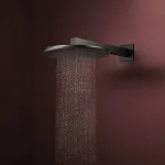 Верхний душ Hansgrohe Raindance Alive S 300 1jet EcoSmart, Matt Black (24521670) - Фото 2